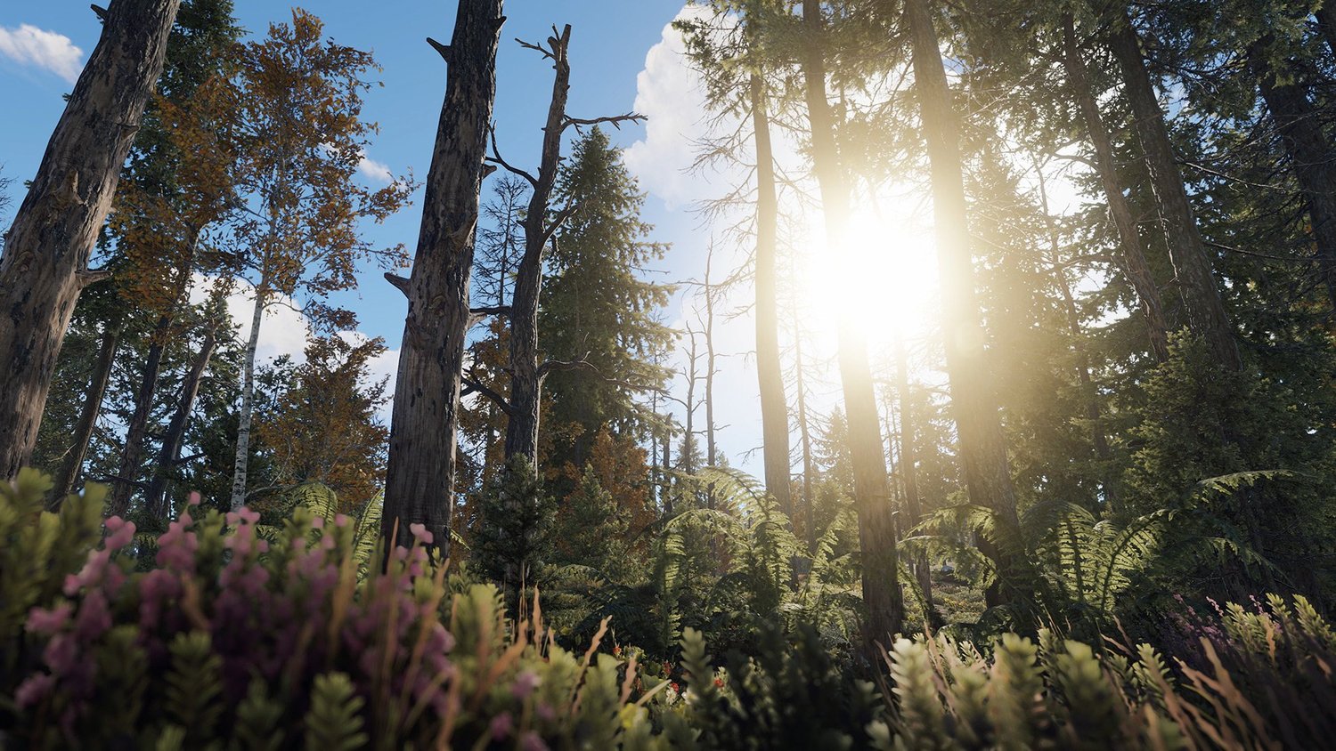 Rust · pve